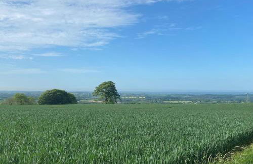 3 Bed in Maidstone oc-86252 - Foto 35