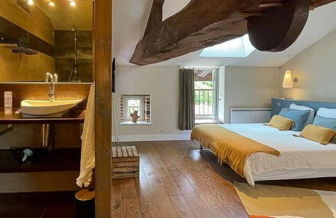 Historic Mill With Ponds And Pool Near Lyon - Foto 10