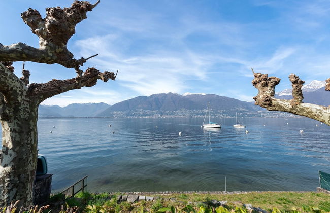 Garden On The Lake in Gambarogno Vira - Foto 40