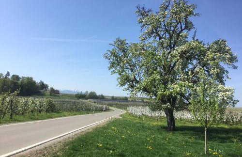 Maisonette am See - Foto 23