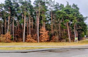 Apartament przy lesie - Photo 24