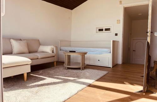 Villa Clásica en Santiago "A Casa de Palmira" - Photo 33