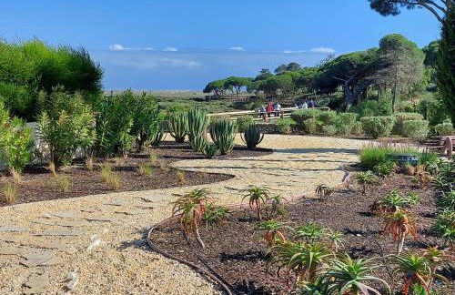 Ancão Beach Apartment - Photo 27