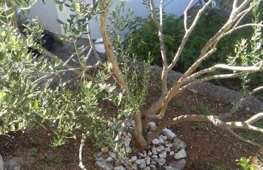 Apartments Rinčić - Photo 79