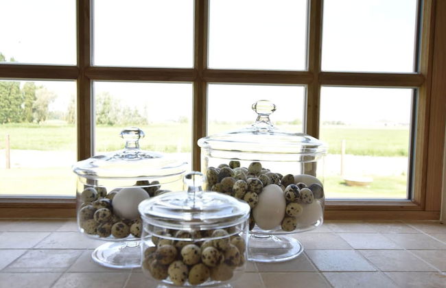 Beautiful Holiday Home With Terrace, Garden - Foto 22