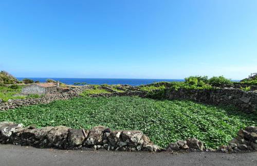 Casinha de Nesquim - Photo 25