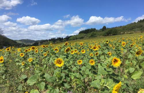 Apartmenthaus RuheZeit - Foto 63
