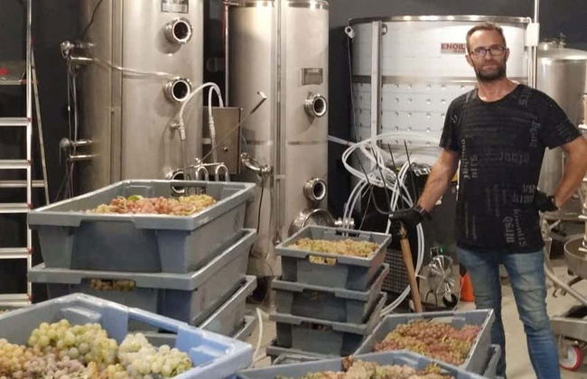 Tour of Hoplita Winery - Photo 1