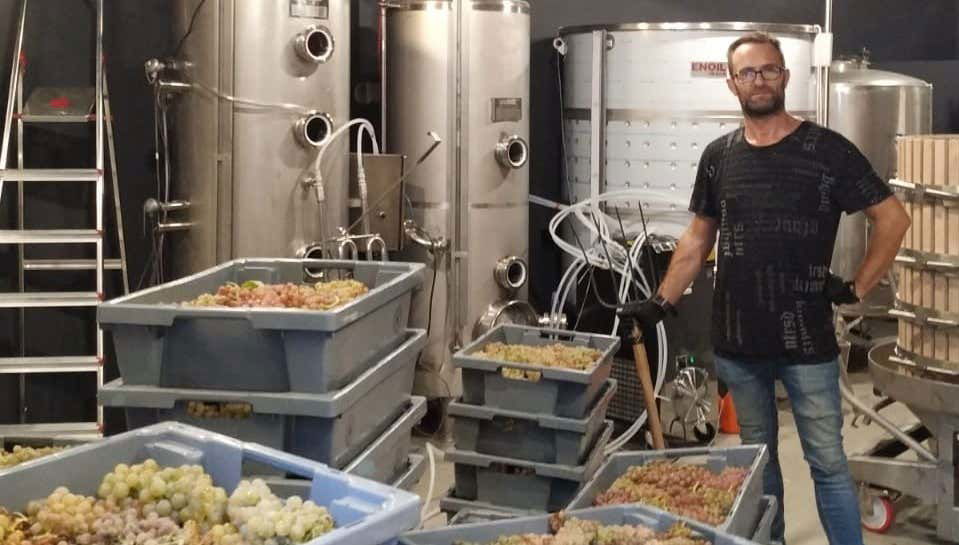 Tour of Hoplita Winery