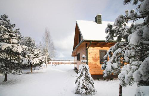 Leśna 21 Dom Północ przy PUSZCZA BIAŁOWIESKA - Foto 72