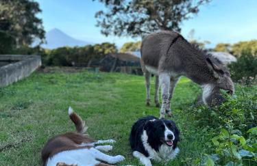 Make It Happen Farm - Photo 12