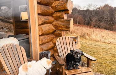 Wild Nurture Eco Luxury Offgrid Log Cabin - Foto 21