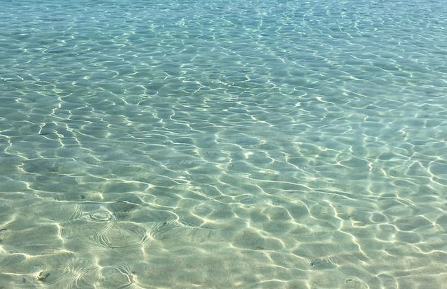 Narcissos 'Nissi Beach' apartment C16 - Foto 20