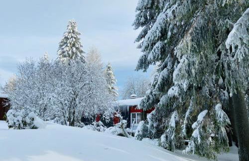 Ferienhaus Baude Steinheid am Rennsteig mit 2 Schlafzimmern max 12 Personen - Foto 9