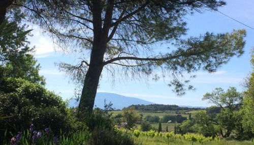 Domaine Fontaine - Foto 2