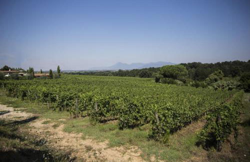 Agriturismo Gli Archi - Foto 57