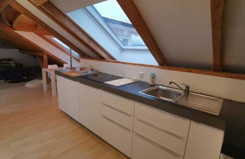 Baltmannsweiler cozy CHALET style apartment Wallbox & free parking no smoking - Foto 14