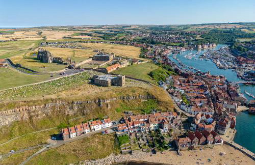 Rambling Rose - Foto 25