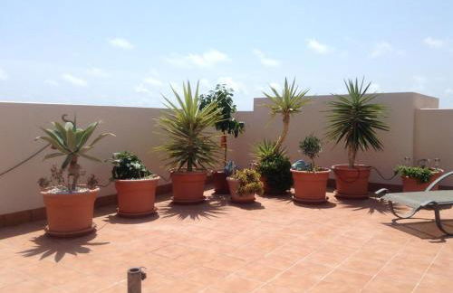 PAULINA EL BOSQUE - Foto 7