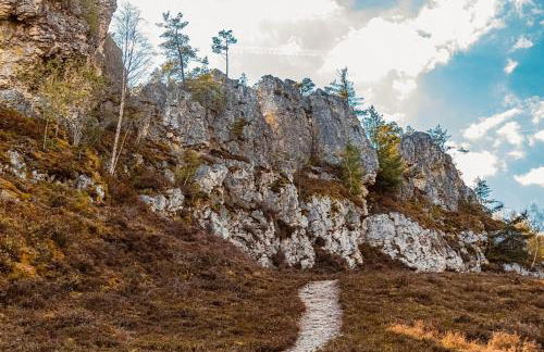 Ferienhaus Nr 25, Typ A, Feriendorf Jägerpark, Bayerischer Wald - Foto 24