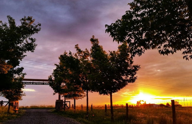 Llama-stay at Spooky Tooth Ranch – Mtn Views!! - Foto 26