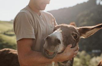 Jungbauernhof - Foto 26