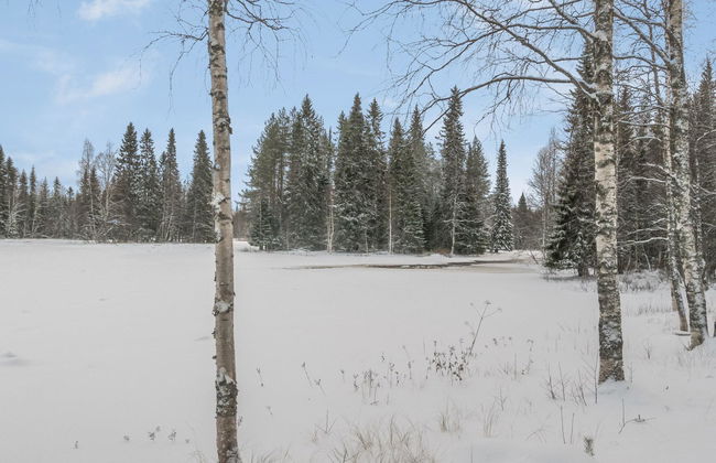 Vaahtissuvanto - Foto 24