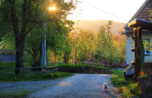 House Sara - Foto 39