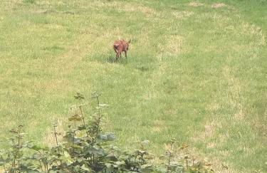 la vallée du paradis studio avec balnéothérapie en campagne - Foto 41