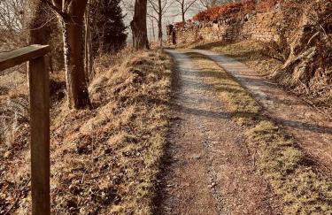 The Cabin at Shambala- now with sauna available to book! - Foto 16