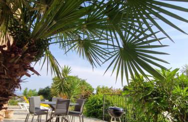 Arena Bianca - Foto 49