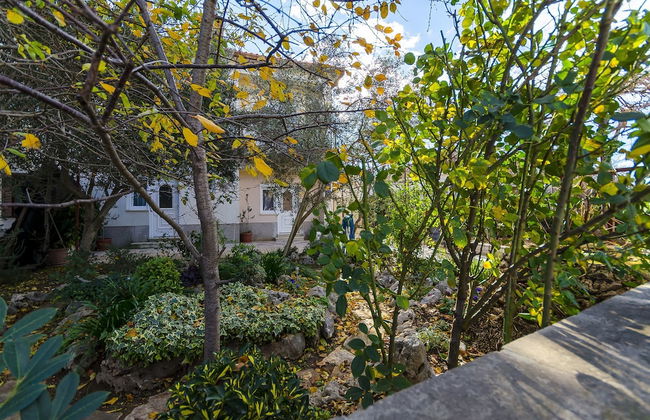 Apartments Vinko - Foto 35