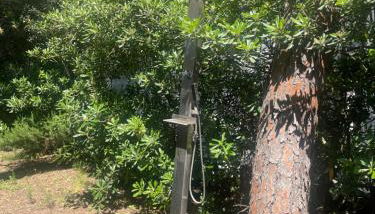 Villa Il boschetto - Foto 5