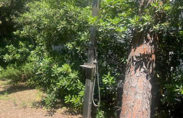 Villa Il boschetto - Foto 5