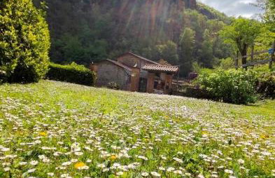Casa Vacanze IL BOSCACCIO "Casa Serena" - Foto 43