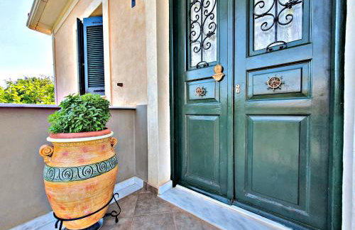 Acroploro - Photo 34