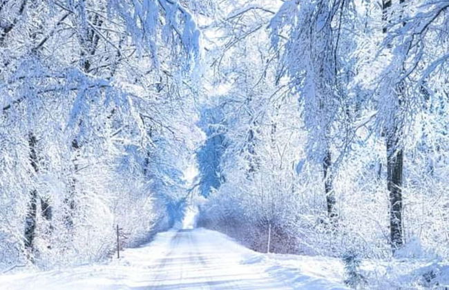 Cosy Apartment in Altshausen Near Castle - Foto 21