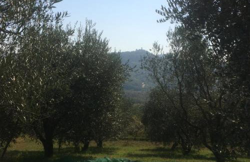 Motovun Bellevue - amazing view, comfortable - Foto 40