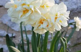 La petite maison dans le Quercy - Foto 20