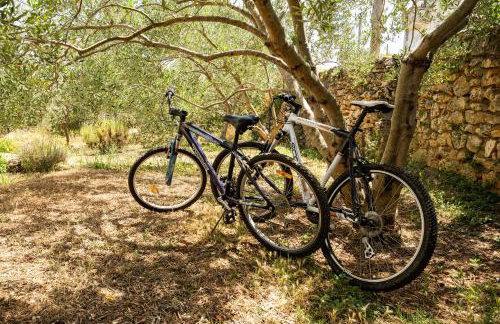 Villa Marcela - Photo 27