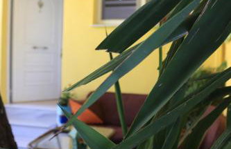 Summer studios 1 - Photo 7