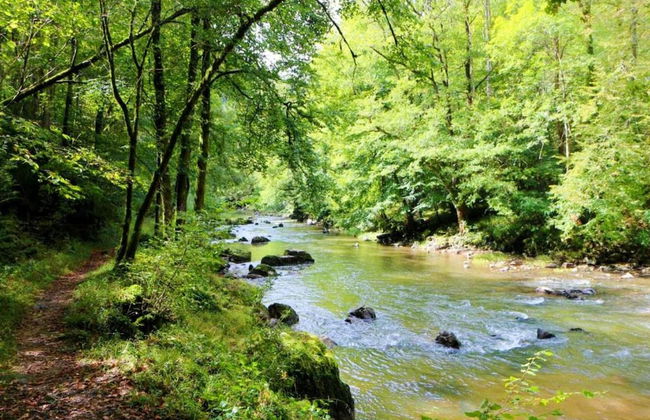 Group Villa With Pool & Sauna - Foto 33