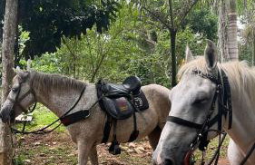 CASA VAHIANA - Foto 48