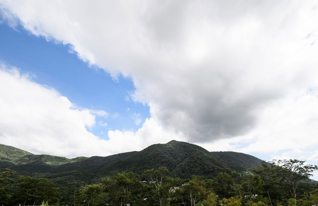Wakoso Harmonious Light West - Photo 49