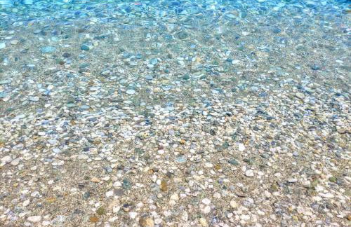 Flower house - Foto 57