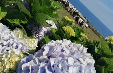 O Antigo Lagar - Photo 57