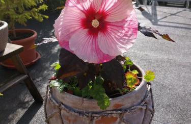 Apartment Sonnenschein - Foto 52