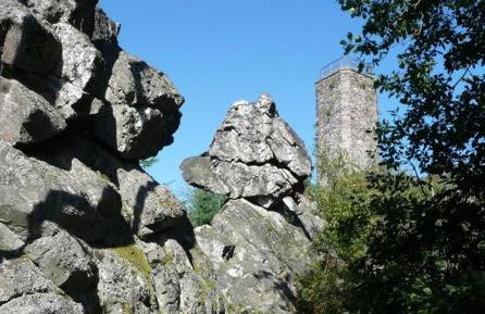 Chalet im Spiel- und Obstgarten - Foto 19