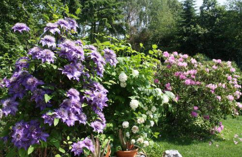 Ferienwohnung Inga - Foto 30