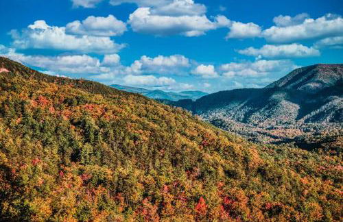 The Ancient Bears Den By Avada Properties - Foto 73